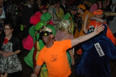 prinsenbal2012-078