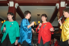 boerenbal2012-019