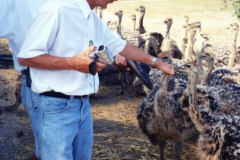 Bombakkes reisje 2001