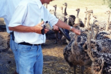 2001-Bombakkes-Jaarlijks-Reisje-05