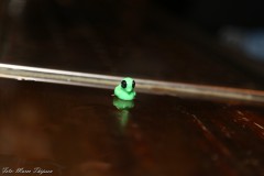 IMG_4610-BorderMaker