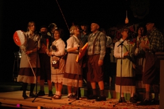 Schlagerbal2011 019