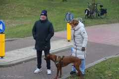 IMG_4268-BorderMaker