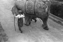 1952-Bombakkes-Carnavalsoptocht-21