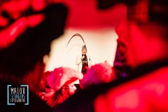 Prinsenbal-Gennep-2025-233