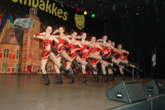 BBZitting2013 020