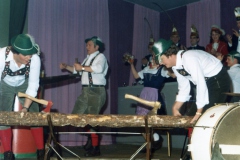 Zitting 1981