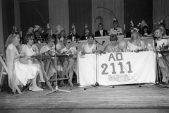Zitting 1982